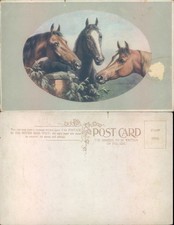 Horses animals art - horses,