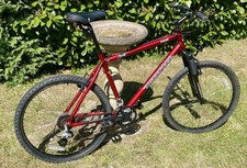 Kona LANAI 20” Frame Adult
