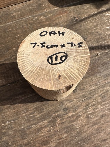 Oak wood turning - blank, x