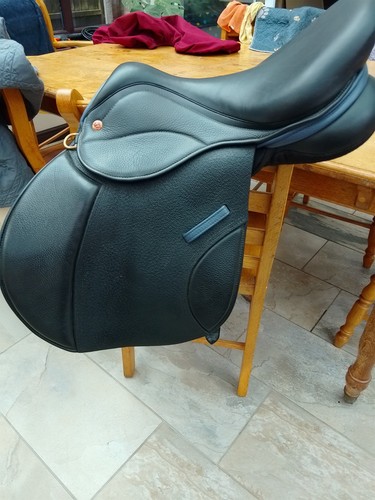 Saddle company jumping - jumping,
