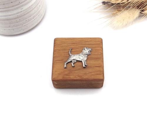 Beagle trinket box - trinket,