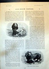 Old Cocker Spaniel Sandy Obo Sussex Spaniel Post Office Electric Van