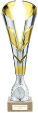 PRESENTATION CUP TROPHY - Gold / Silver Sports Award Trophies, FREE ENGRAVING