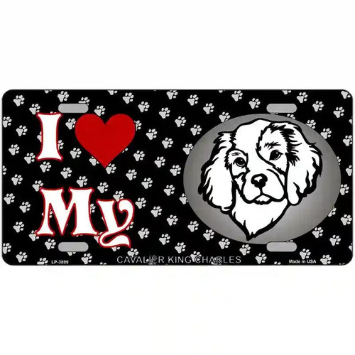 Love cavalier king - love, my