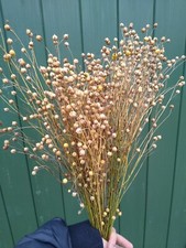 Dried Flax 130g Natural Brown, Organic Dried Wedding Flowers, Grown In UK 