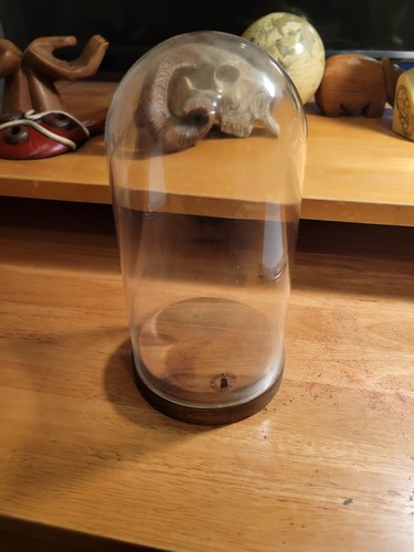 Ikea glass dome - ikea,