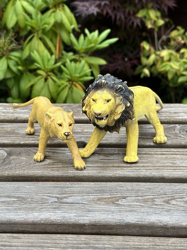 Vintage aaa lion - lion, lioness