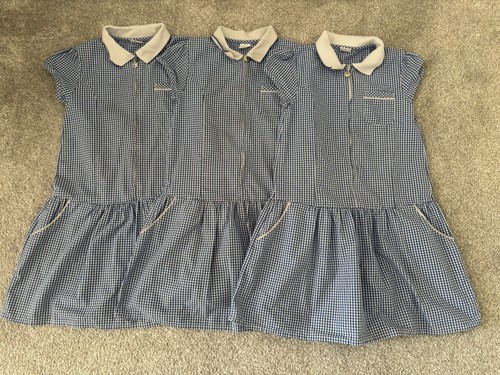 Girls blue gingham school - blue,