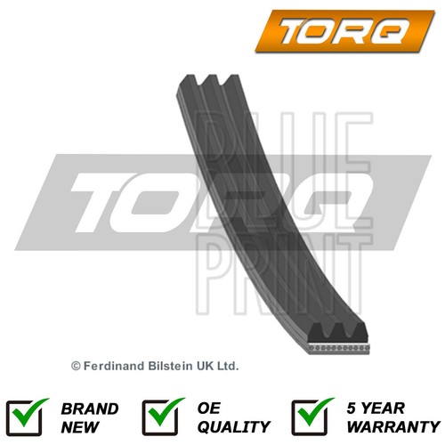 Alternator belt torq fits - alternator,