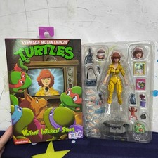 New Teenage Mutant Ninja