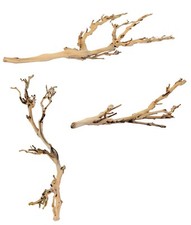 Exo Terra Grapevine Jungle Branch S M L Sandblasted Reptile Forest Climbing Tree