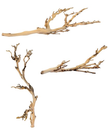 Exo terra grapevine jungle - exo,