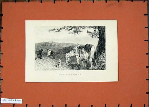 Original old antique print - old,