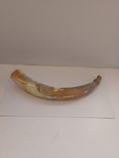 Large Blow Horn Battle Trumpet/Bugle Crafted from Authentic Houn 38 Cm Long