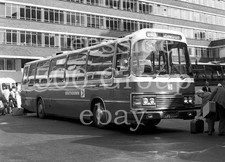 5.5cm x 4cm negative with