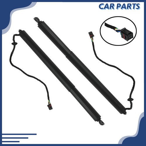 Electric tailgate gas - 2x,