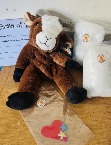 Teddy tastic build your - tastic,