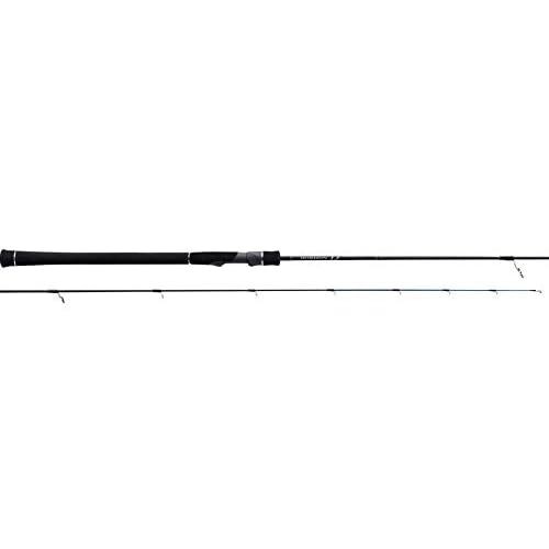 Tenryu spinning rod - tenryu, horizon