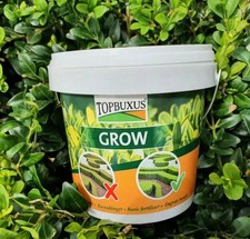 TOPBUXUS GROW Professional Boxwood Fertilizer - 500G for 10M2