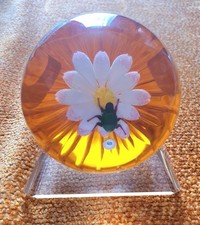 William Manson Paperweight Rare Daisy & Bug Limited Edition #25 of 50