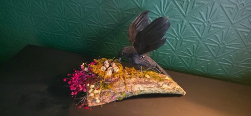 Nest silent prophecy - if,