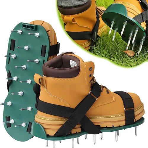 Lawn spike grass garden - lawn,