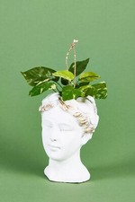Anthropologie grecian bust pot - grecian,