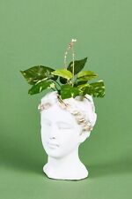 Anthropologie Grecian Bust Pot Planter Ornament Plant Glenda Gaia NWT