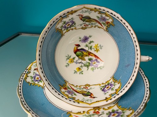 Tuscan china blue - tuscan,