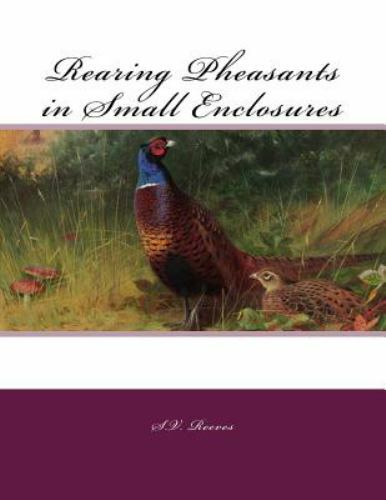 Rearing pheasants small - rearing,