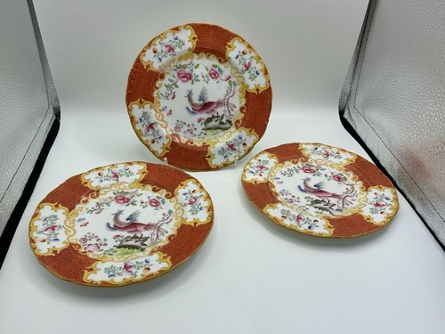 Minton style cockatrice - style,