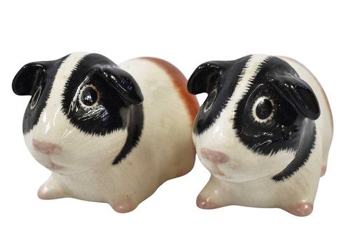 Quail pottery guinea - pottery,