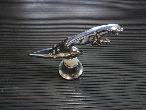 C2s50920 jaguar leaping - jaguar, bonnet