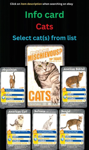 Cats info card - card, select