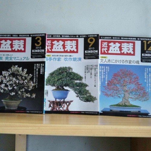 Modern bonsai mag issue march - issue,