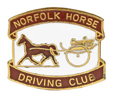 Vintage The Norfolk Horse Carriage Driving Club Enamel Brooch Badge