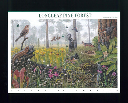 United states longleaf - states,