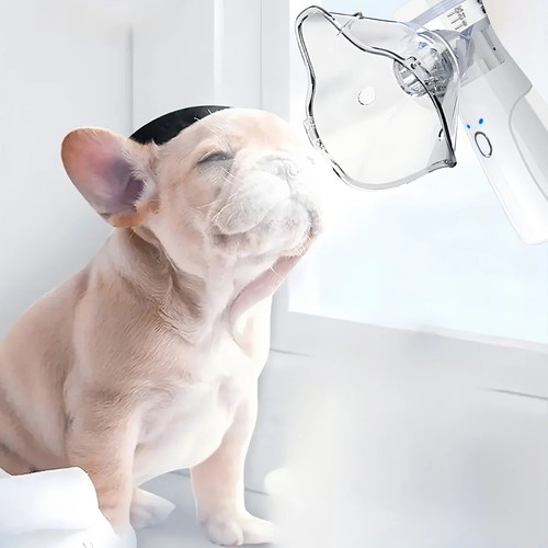 Facial steamer spa - spa, pores
