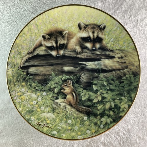Want play plate woodland - play?,