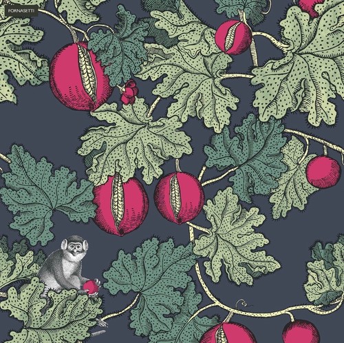 Cole son fornasetti frutto - &,