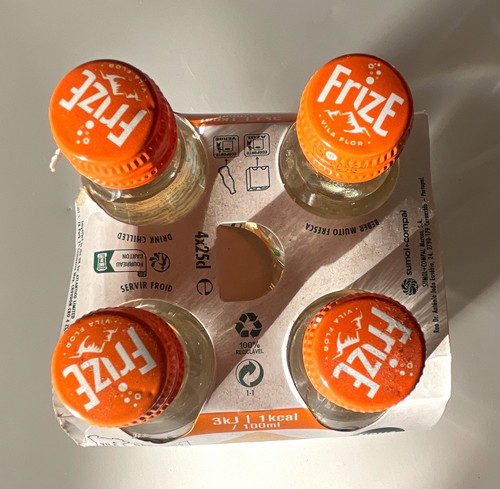 Frize vila flor laranja orange - flor,