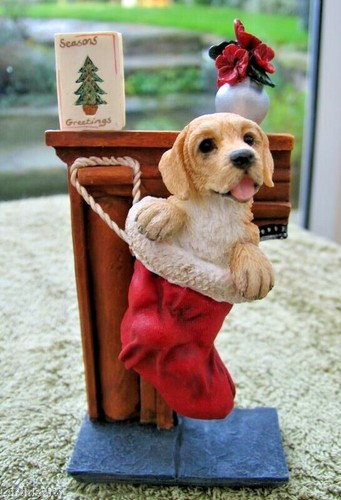 Country artists dogs puppies - country,