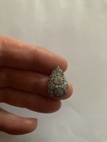 Fossil coral cabachon - coral,