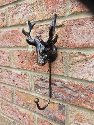 Stag head coat - head, key