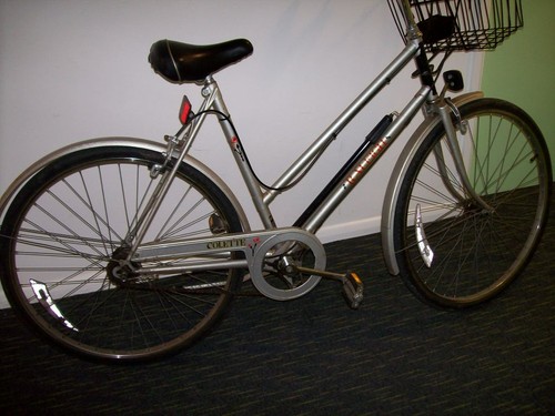 Ladies speed raleigh - 3,