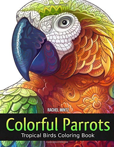 Colorful parrots tropical - colorful,