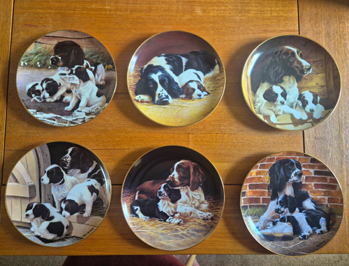 Franklin mint sole mates - franklin,