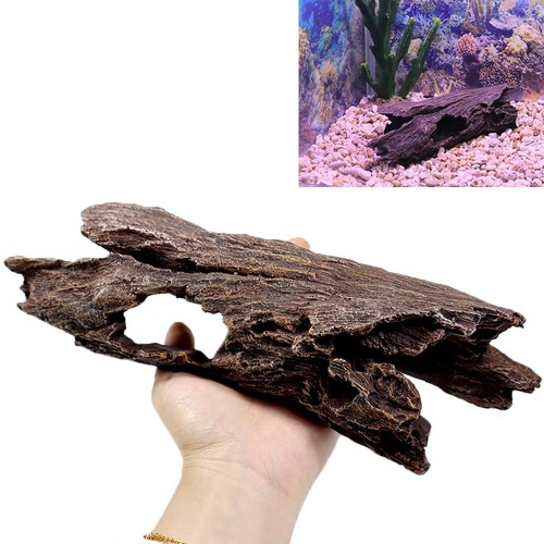 Fazhongfa fish tank - fish,