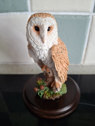 Country artists barn owl - artists,