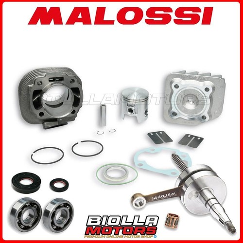 Cylinder kit shaft malossi - cylinder, +